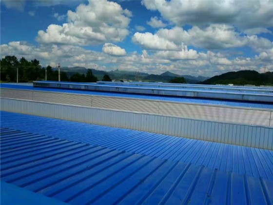 大型輕鋼結構廠房